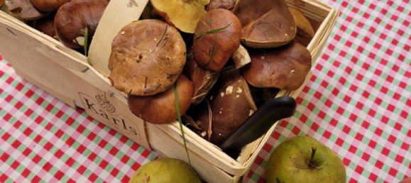 Terreno em Dahme-Spreewald, Germany N.º 283176 14