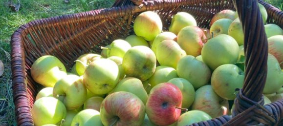 Terreno em Dahme-Spreewald, Germany N.º 283176 13