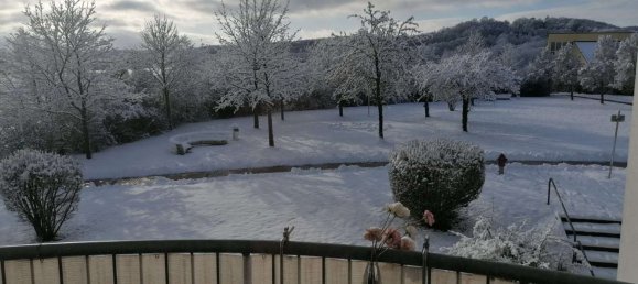 Studio in Coburg, Germany, Nr. 240171 6