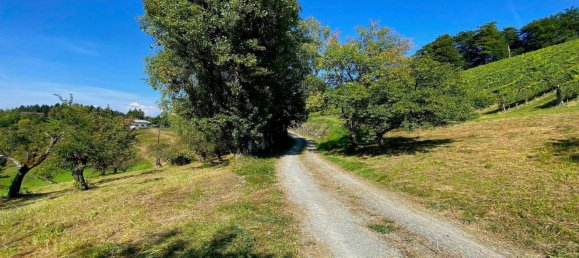 Casa T3 em Leutschach an der Weinstrasse, Austria N.º 114272 10