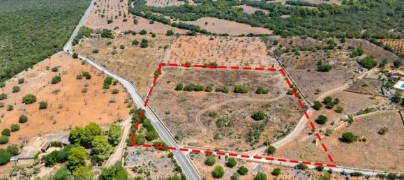  Land in Petra, Spain No. 168258 3