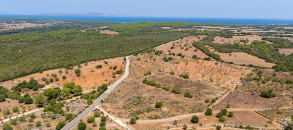  Land in Petra, Spain No. 168258 5