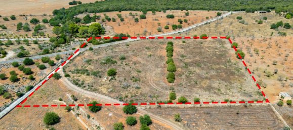  Land in Petra, Spain No. 168258 6