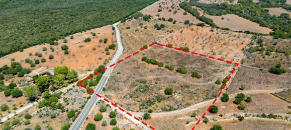  Land in Petra, Spain No. 168258 2