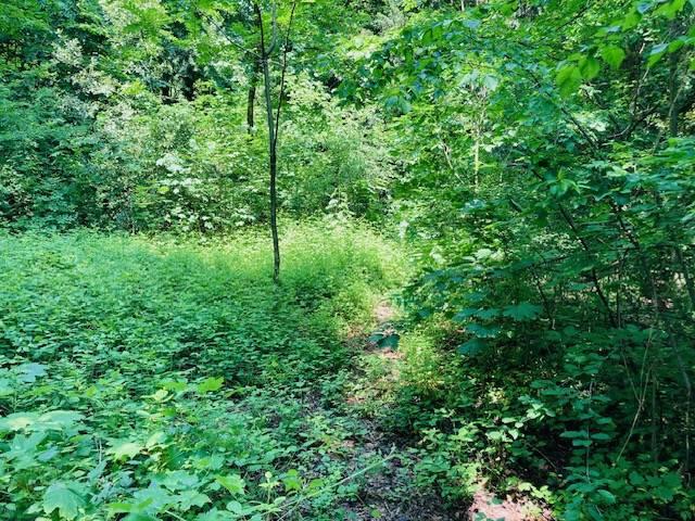 3000m² Land in Nembro, Italy No. 176710