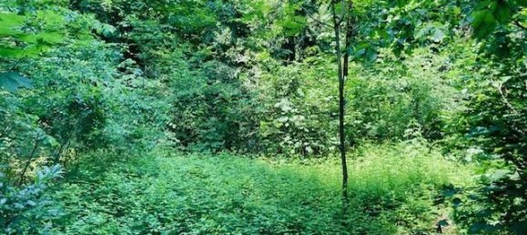 3000m² Land in Nembro, Italy No. 176710 6