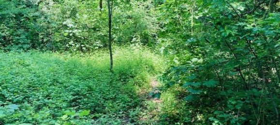 3000m² Land in Nembro, Italy No. 176710 9