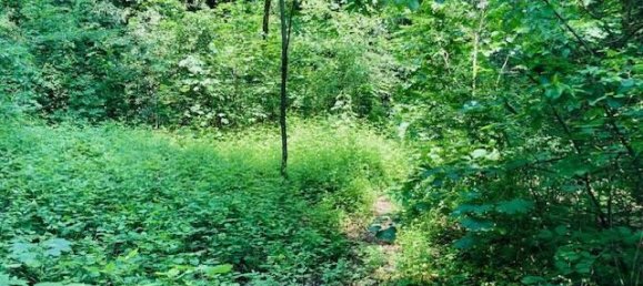 3000m² Land in Nembro, Italy No. 176710 16