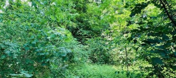 3000m² Land in Nembro, Italy No. 176710 7