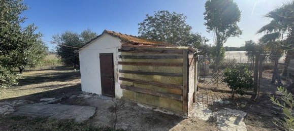 Casa de 3 habitaciónes en Capalbio, Italy No. 167823 22