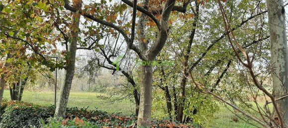 2 bedrooms Duplex in Modena, Italy No. 53854 49