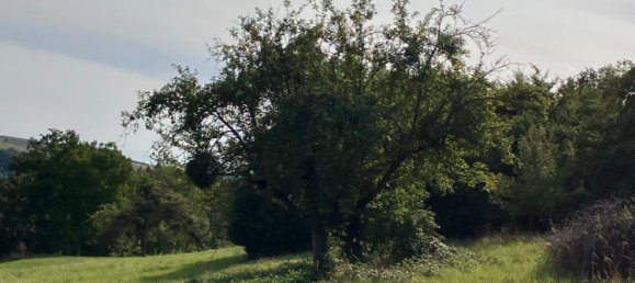 Terrain à Esslingen, Germany No. 302298 3