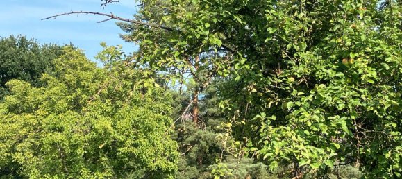 Terrain à Esslingen, Germany No. 302298 5