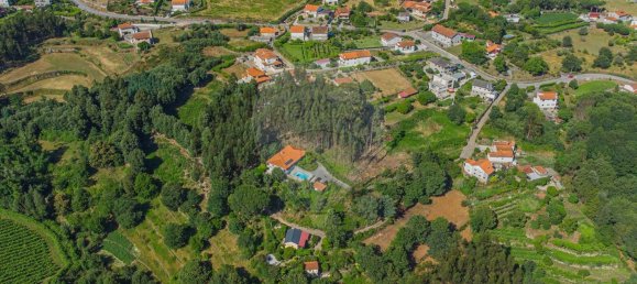 9 غرف نوم منزل في Penafiel, Portugal رقم 60099 5