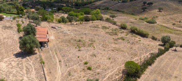 6 bedrooms House in Montemor o Novo, Portugal No. 101823 15