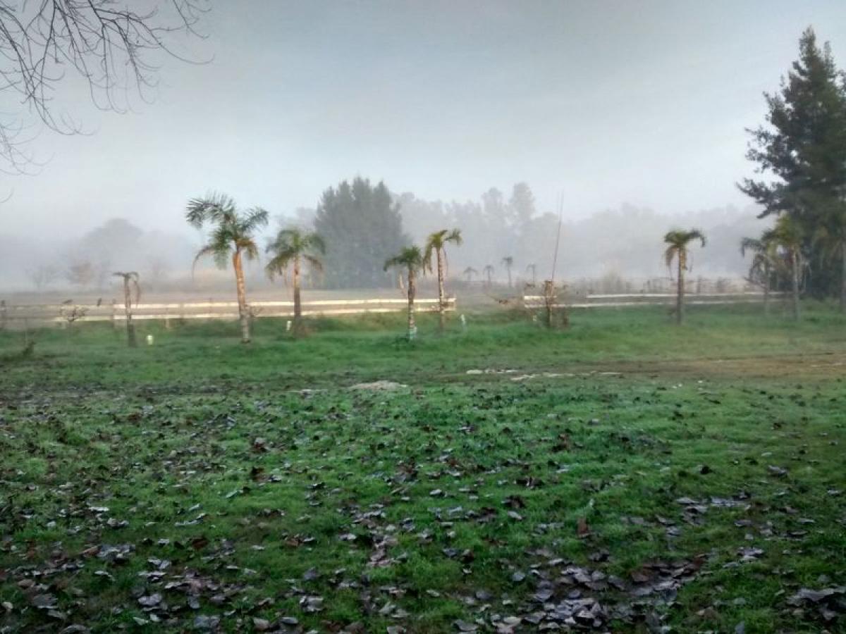 2 Schlafzimmer Haus in Buenos Aires, Argentina, Nr. 94256