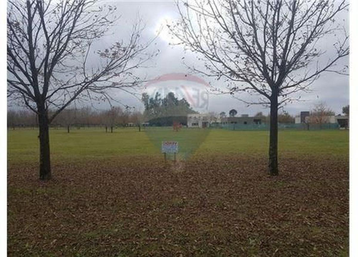  Land in General Rodriguez, Argentina No. 43299