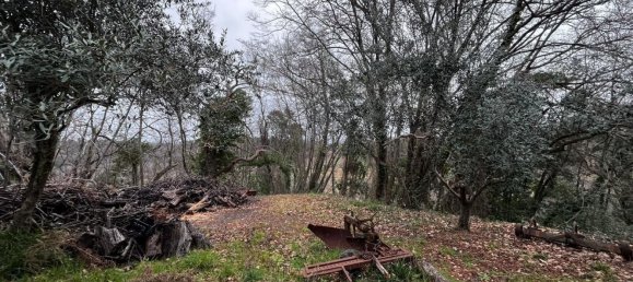  قطعة أرض في Casciana Terme Lari, Italy 15300متر مربع رقم 21343 7