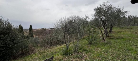  قطعة أرض في Casciana Terme Lari, Italy 15300متر مربع رقم 21343 6