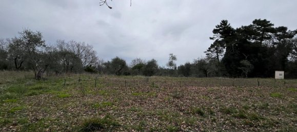  قطعة أرض في Casciana Terme Lari, Italy 15300متر مربع رقم 21343 10