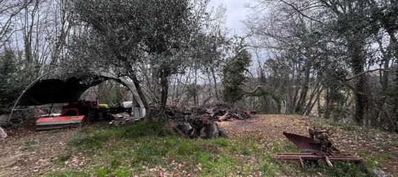  قطعة أرض في Casciana Terme Lari, Italy 15300متر مربع رقم 21343 9