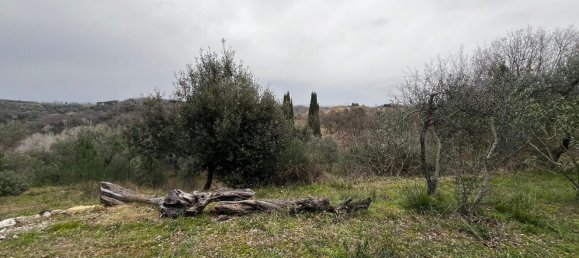  قطعة أرض في Casciana Terme Lari, Italy 15300متر مربع رقم 21343 5