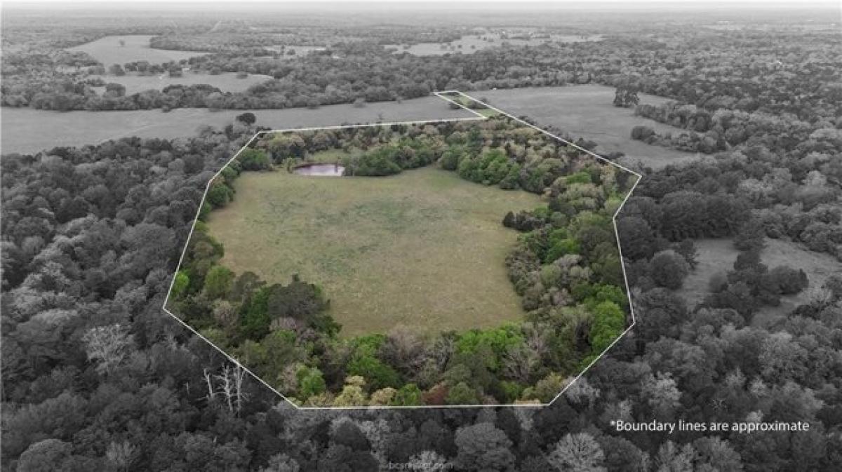 Земельный участок в Paige, США № 474109