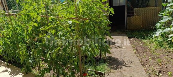 Casa de 2 dormitorios en Valdilana, Italy No. 264982 6