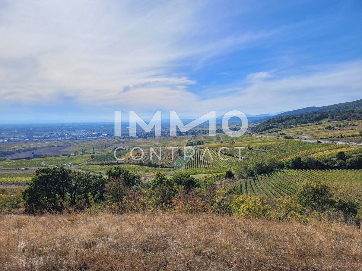 Terreno en Gumpoldskirchen, Austria No. 106909