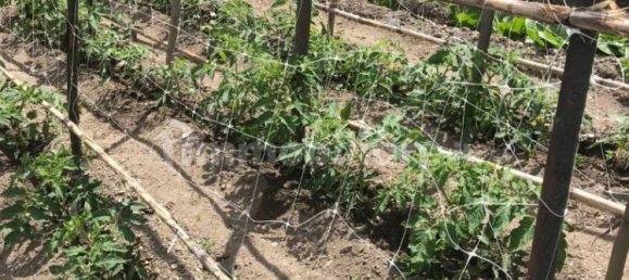 2 غرف نوم فيلا في San Mango d'Aquino, Italy رقم 255363 14