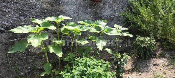 2 غرف نوم فيلا في San Mango d'Aquino, Italy رقم 255363 15