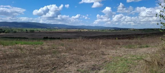 Terreno en Sovicille, Italy 1000000 m² No. 358812 2