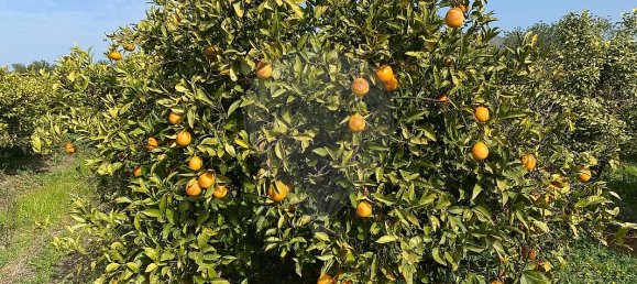 17040m² Land in Faro, Portugal No. 39883 10