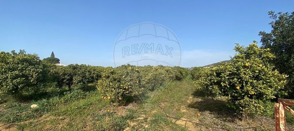 17040m² Land in Faro, Portugal No. 39883 4