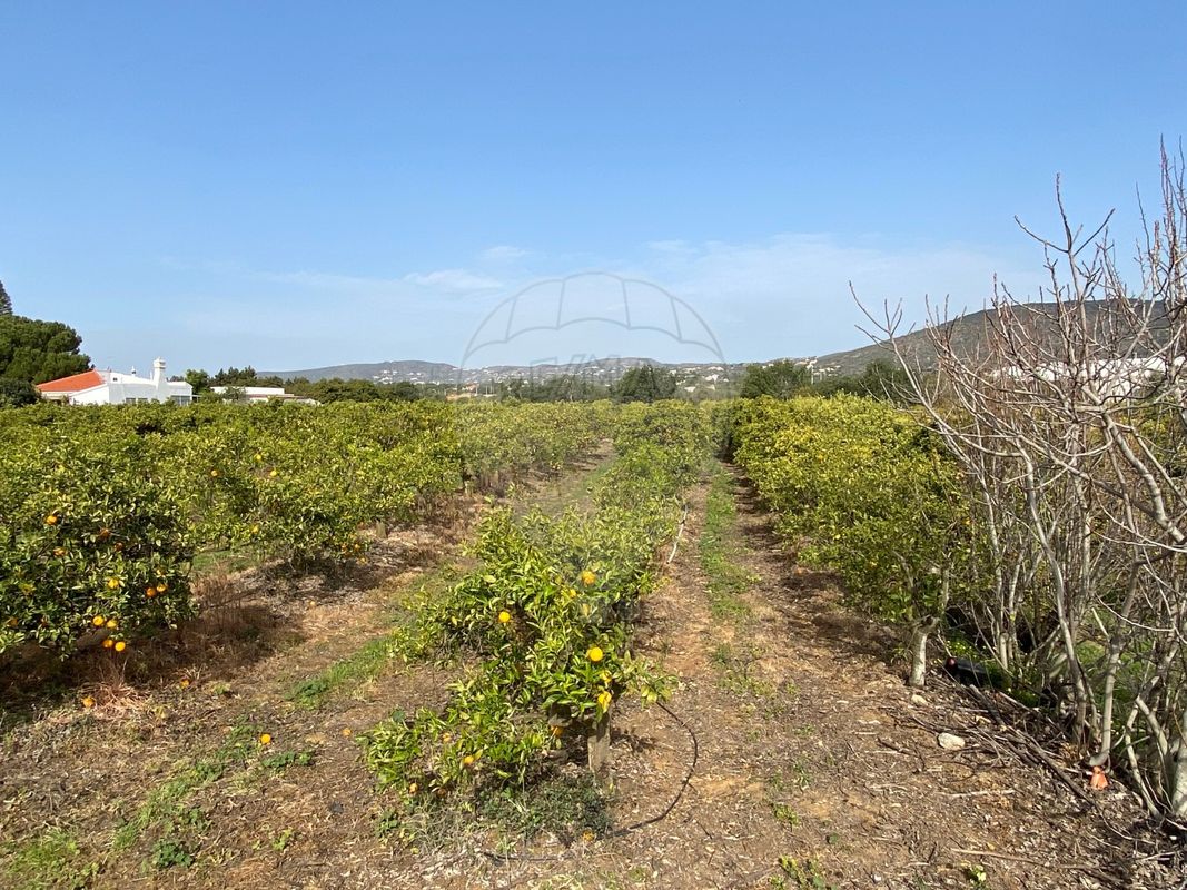 17040m² Land in Faro, Portugal No. 39883