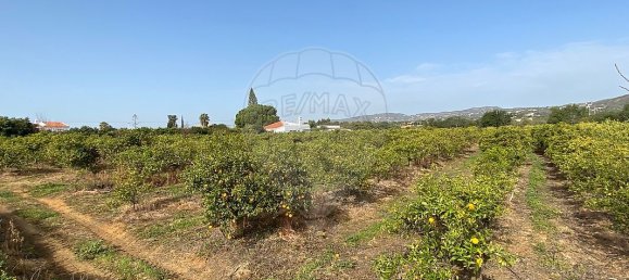 17040m² Land in Faro, Portugal No. 39883 7