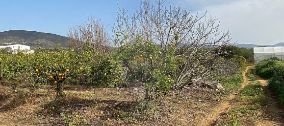 17040m² Land in Faro, Portugal No. 39883 3