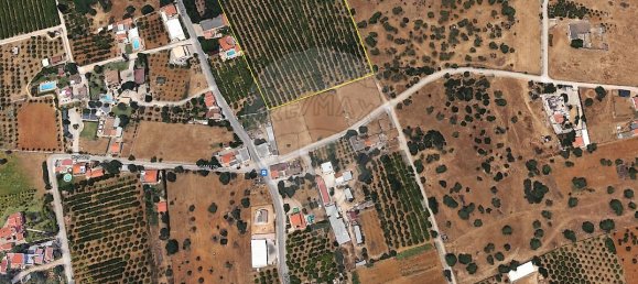 17040m² Land in Faro, Portugal No. 39883 2