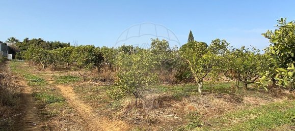 17040m² Land in Faro, Portugal No. 39883 6
