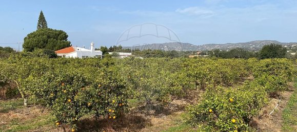 17040m² Land in Faro, Portugal No. 39883 8
