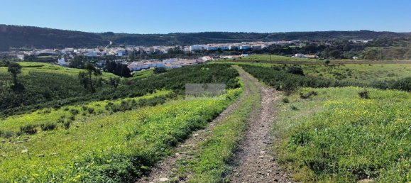 Terreno en Lagos, Portugal 513160 m² No. 88535 22