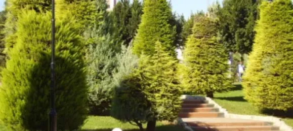 2 bedrooms House in Alzira, Spain No. 89391 15