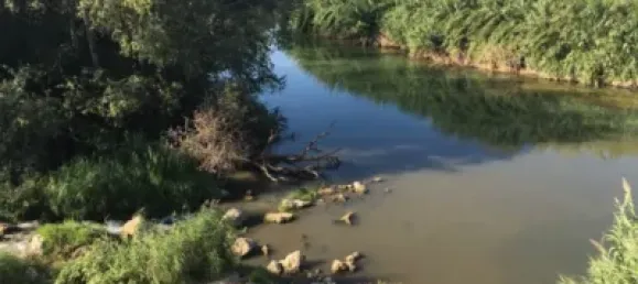 2 bedrooms House in Alzira, Spain No. 89391 21