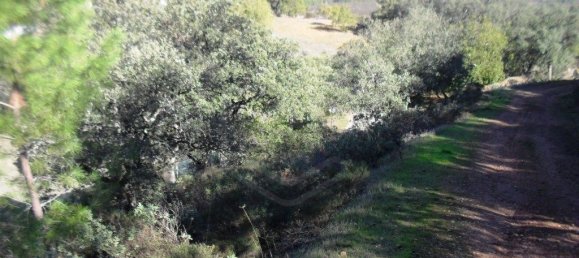 Terrain à Loule, Portugal 7677m² No. 57973 8