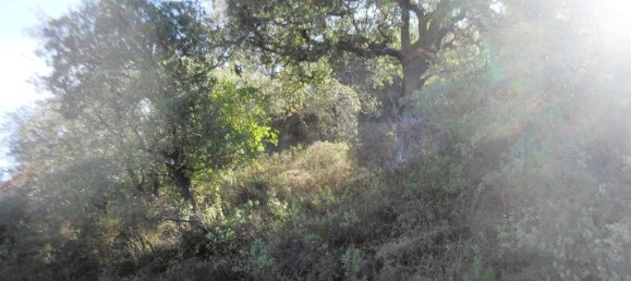 Terrain à Loule, Portugal 7677m² No. 57973 7