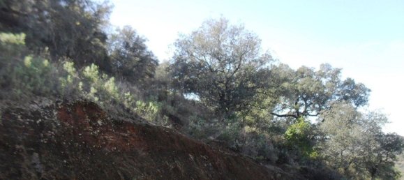 Terrain à Loule, Portugal 7677m² No. 57973 5