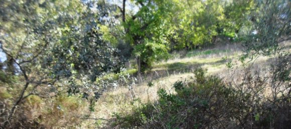 Terrain à Loule, Portugal 7677m² No. 57973 9