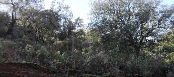 Terrain à Loule, Portugal 7677m² No. 57973 6