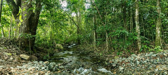 Terreno en Mount Sheridan, Australia 938 m² No. 1115 2