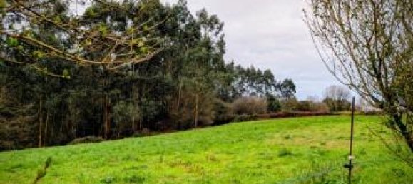 terreno en venta en Cudillero, Asturias, Principado de Asturias, Spain № 369968 4